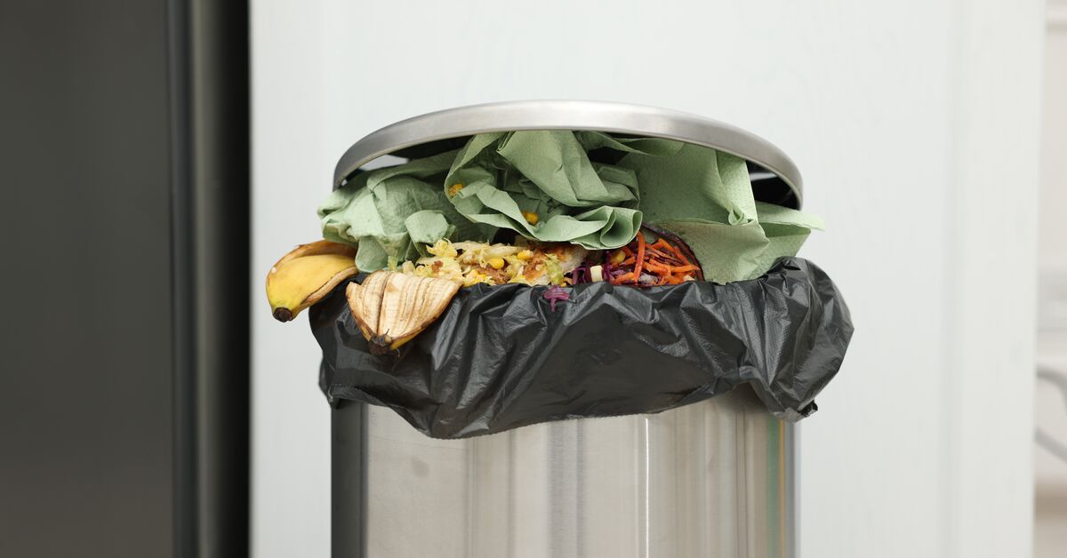 Mülleimer und Biotonne reinigen -- Was hilft gegen Geruch und Maden?