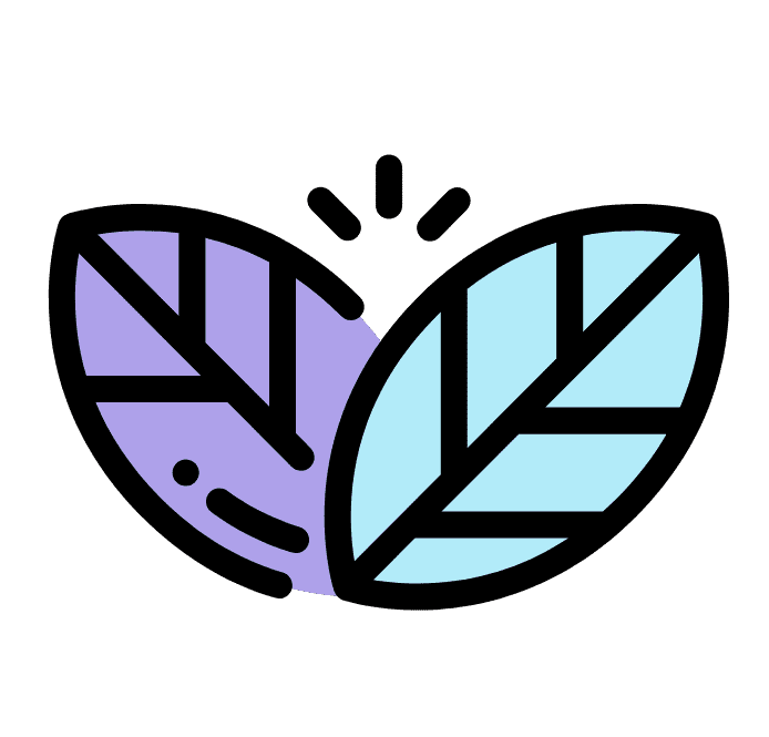 Sauber & Frisch logo